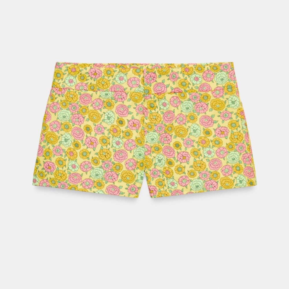 Zara shorts!!! Size small